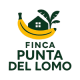 Finca Punta del Lomo