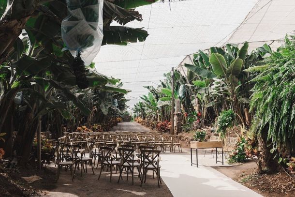 eventos finca punta del lomo 08 Finca Punta del Lomo