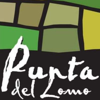 Finca Punta del Lomo